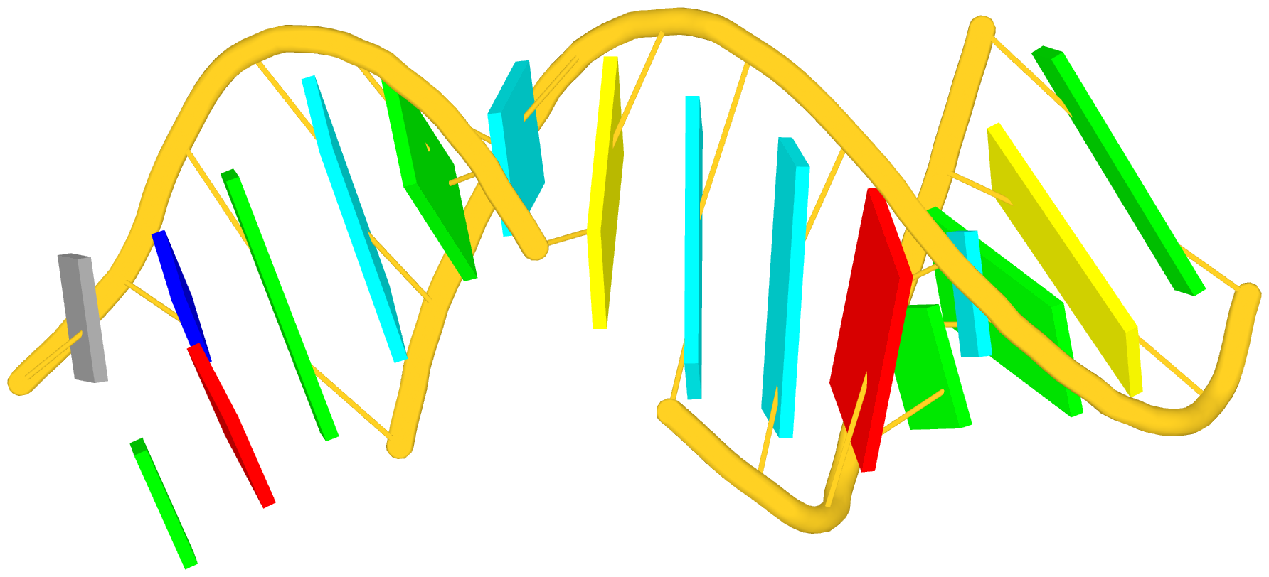 tRNA acceptor and T stems in one helix (1ehz)
