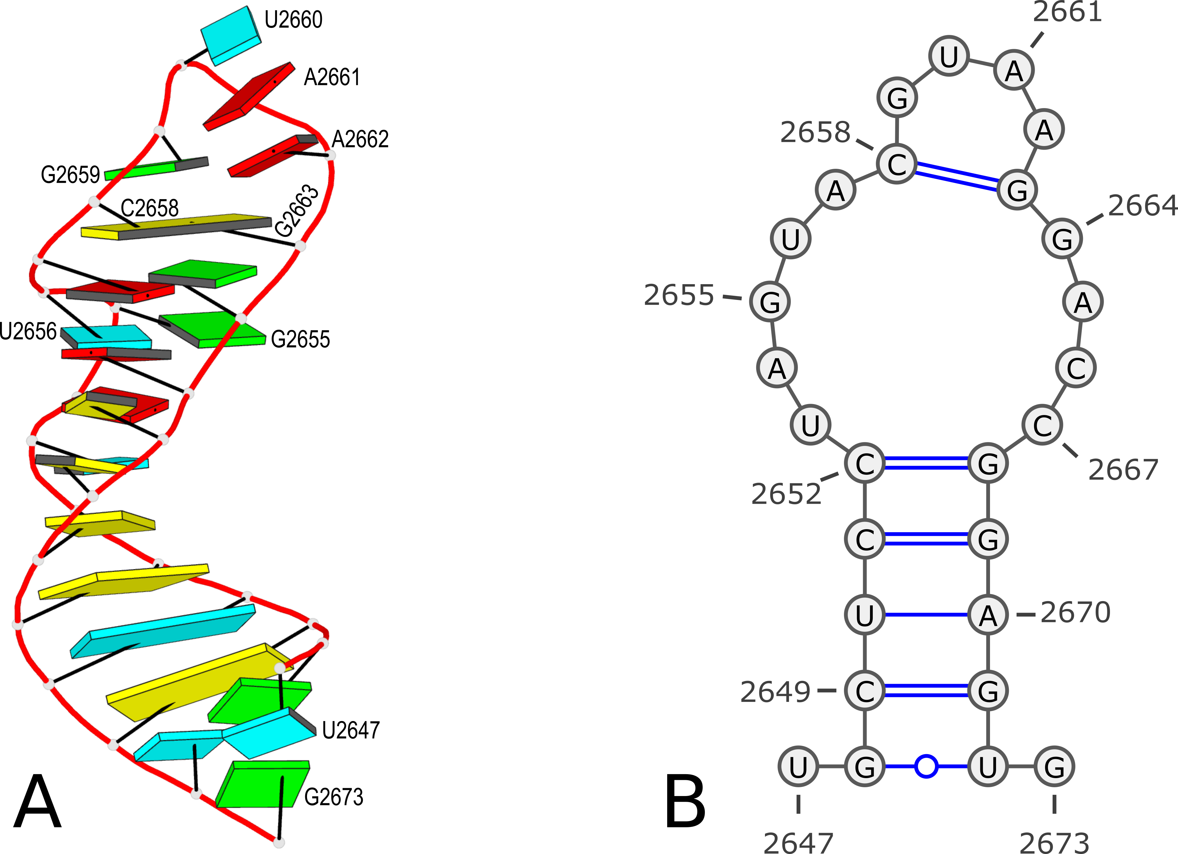 1msy-in-3d-2d