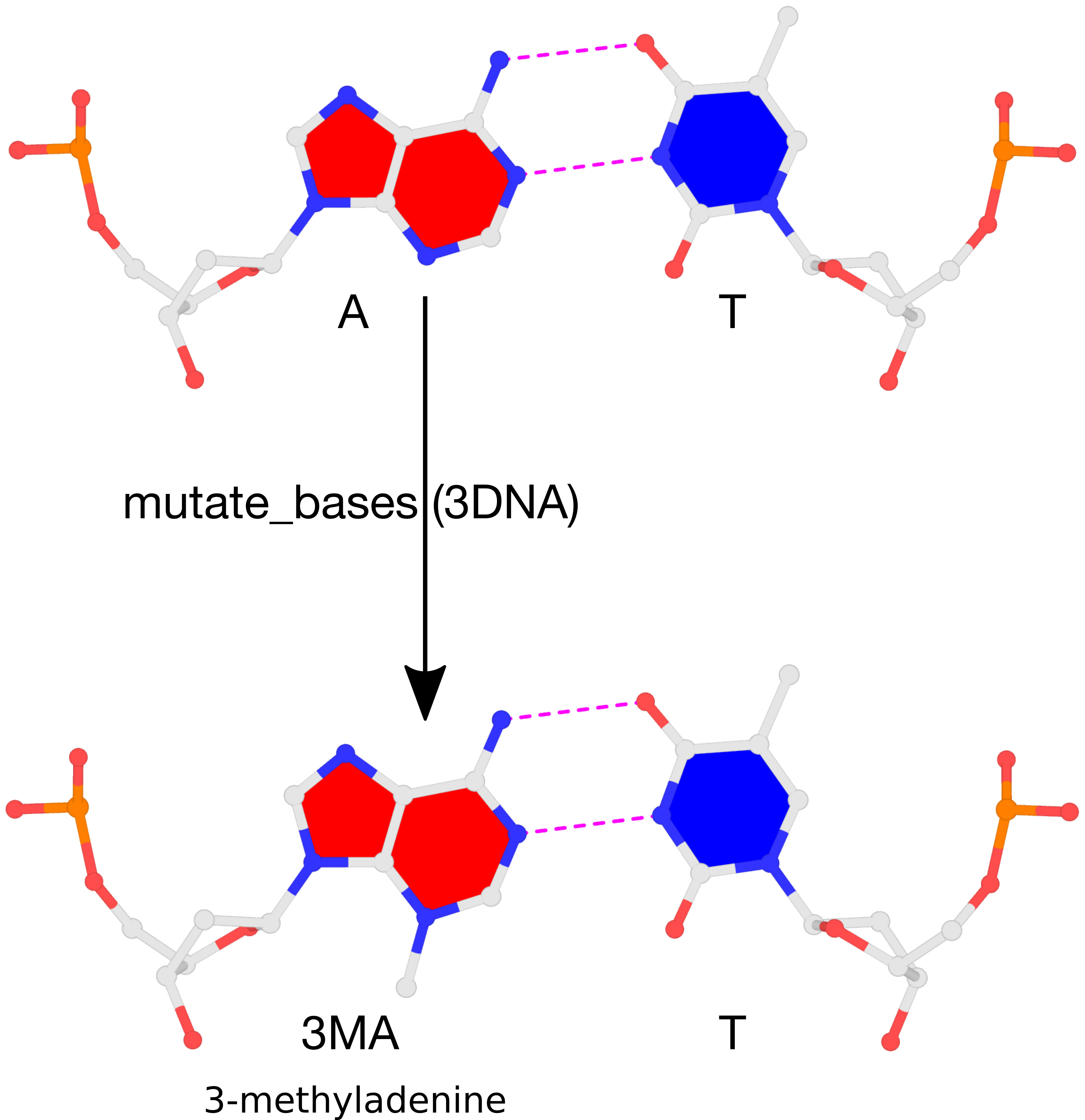 3DNA 3-methyladenine mutation