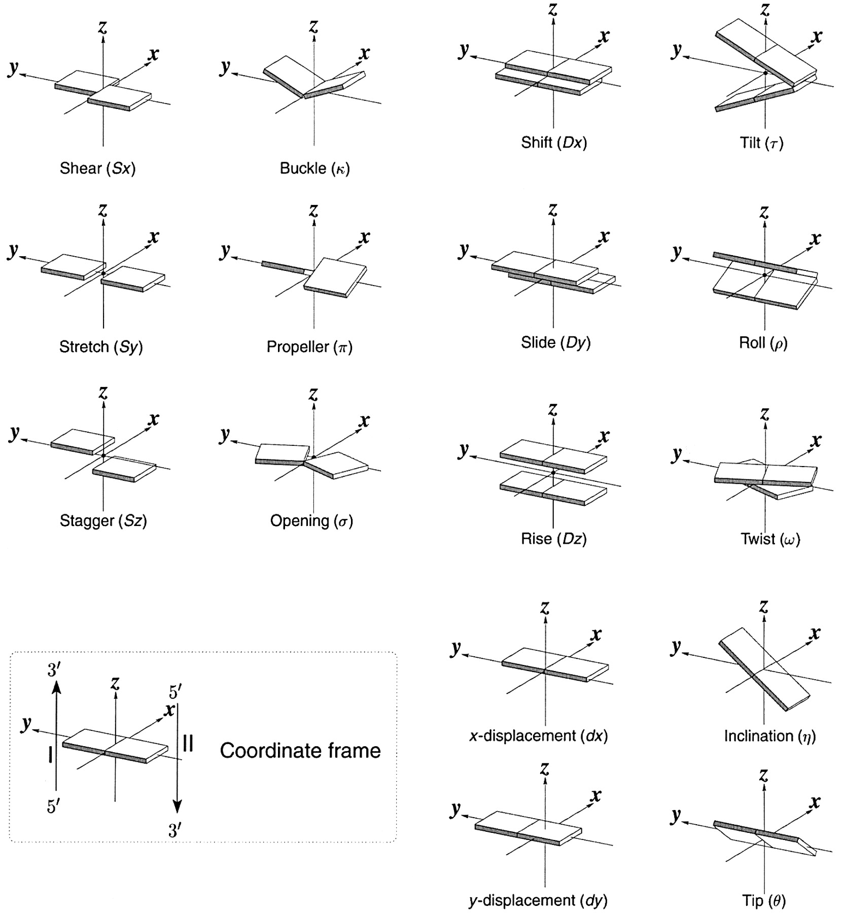 complementary base pairing rna