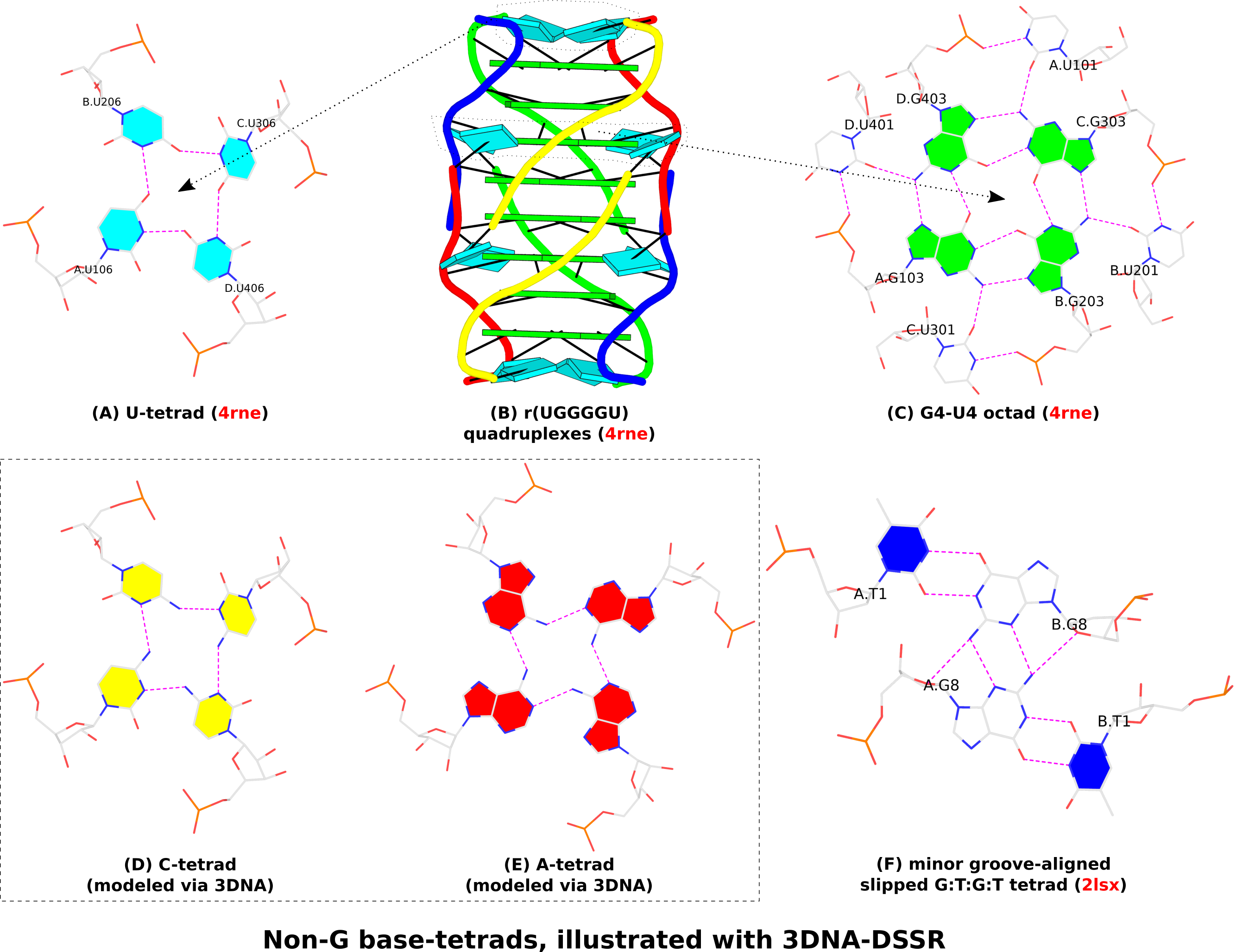 DSSR-derived non-G base tetrads