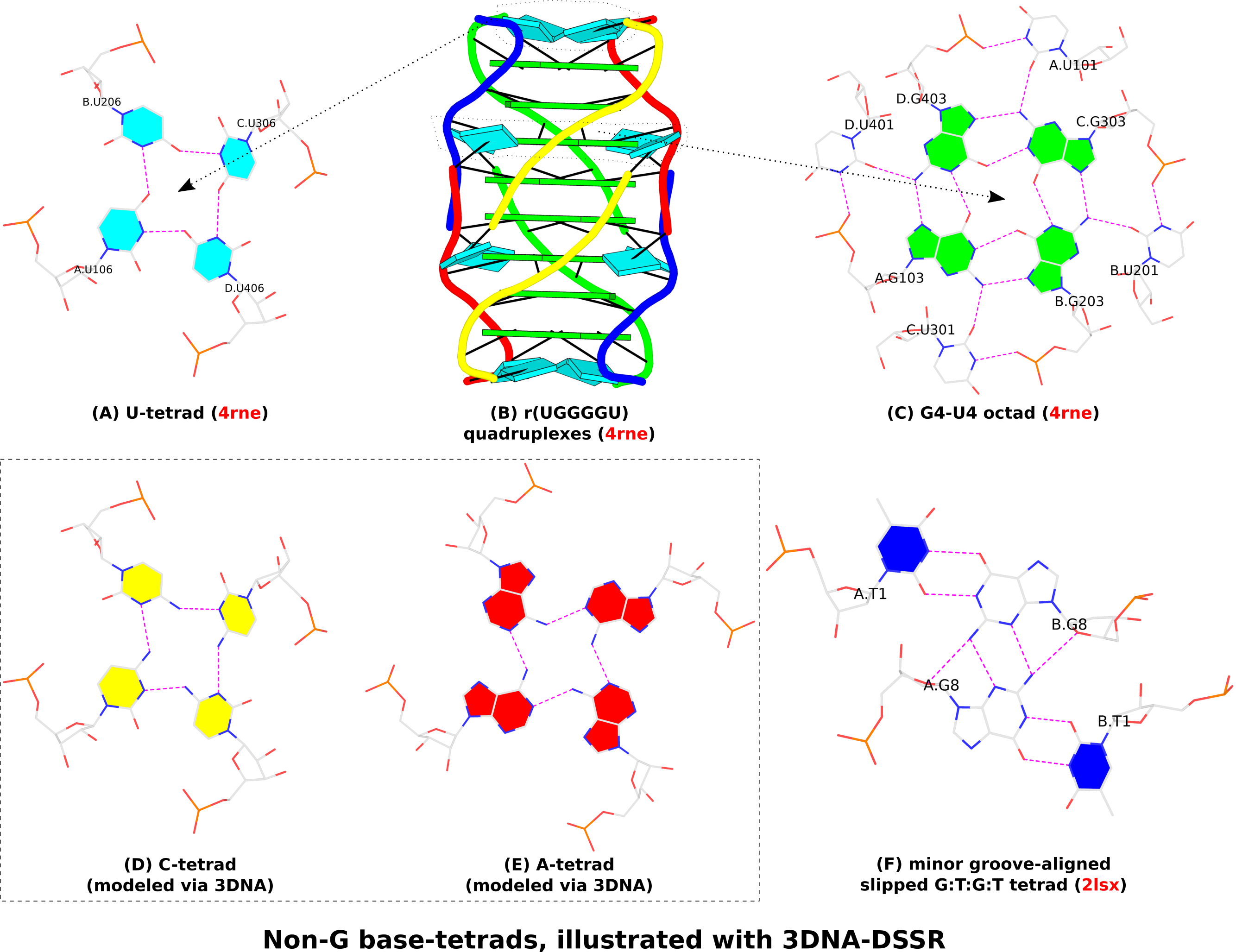 3dna Homepage Nucleic Acid Structures